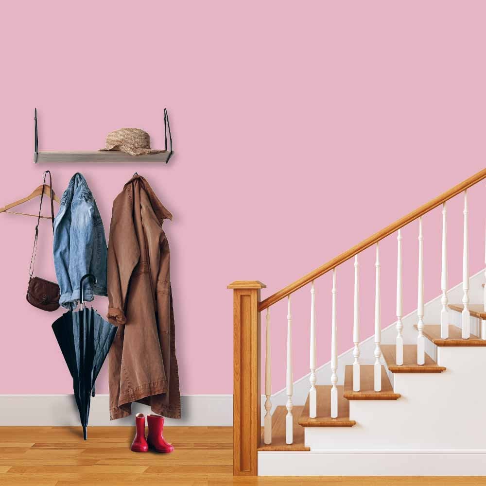 Wilko Tough & Washable Cane Matt Emulsion Paint 2.5L Image 4