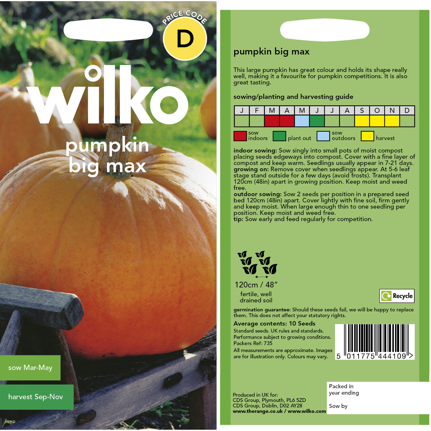 Pumpkin Big Max Seeds Orange Image 3