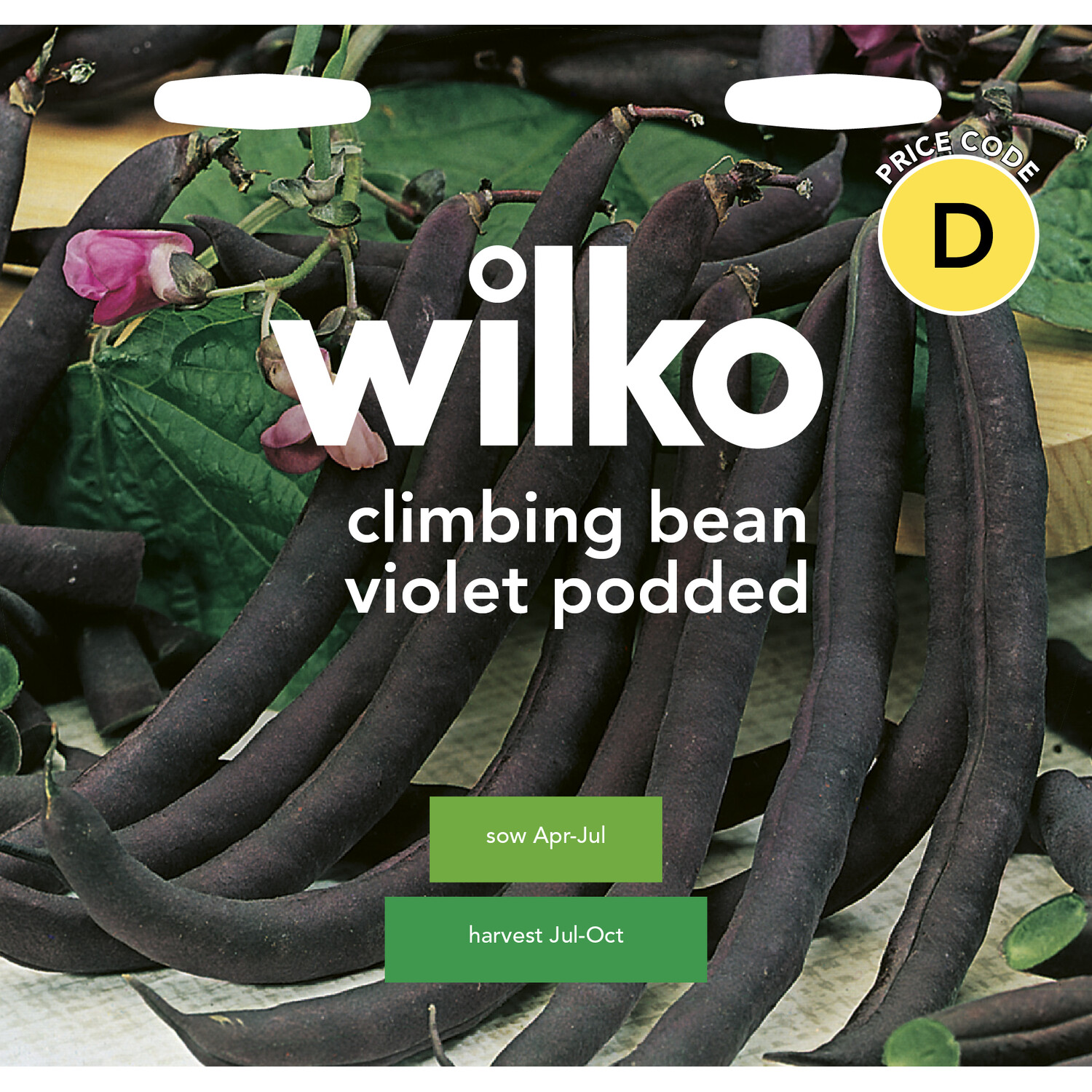 Climbing Bean Violet Podded Seeds Voilet Image 1