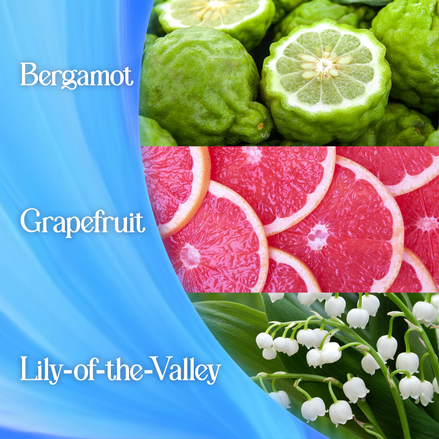 Surf Magnifi-Scent Laundry Detergent Aqua Bliss Image 7