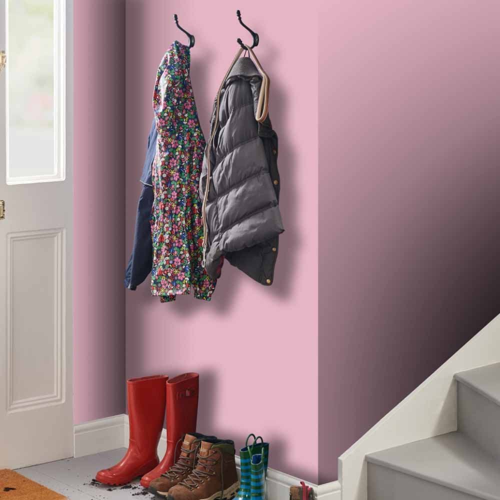 Wilko Tough & Washable Cane Matt Emulsion Paint 2.5L Image 5