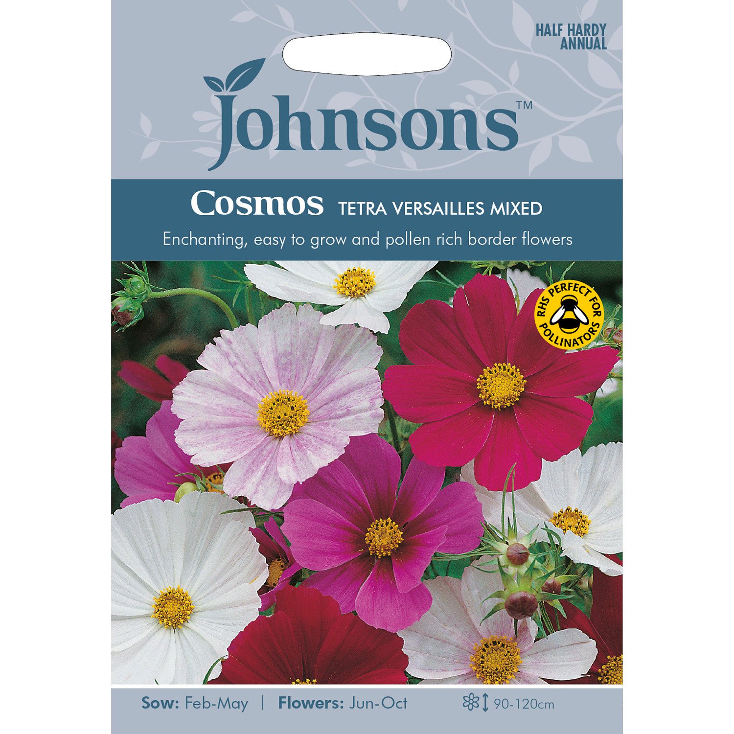 Johnsons Cosmos Tetra Versailles Mixed Flower Seeds Image 2
