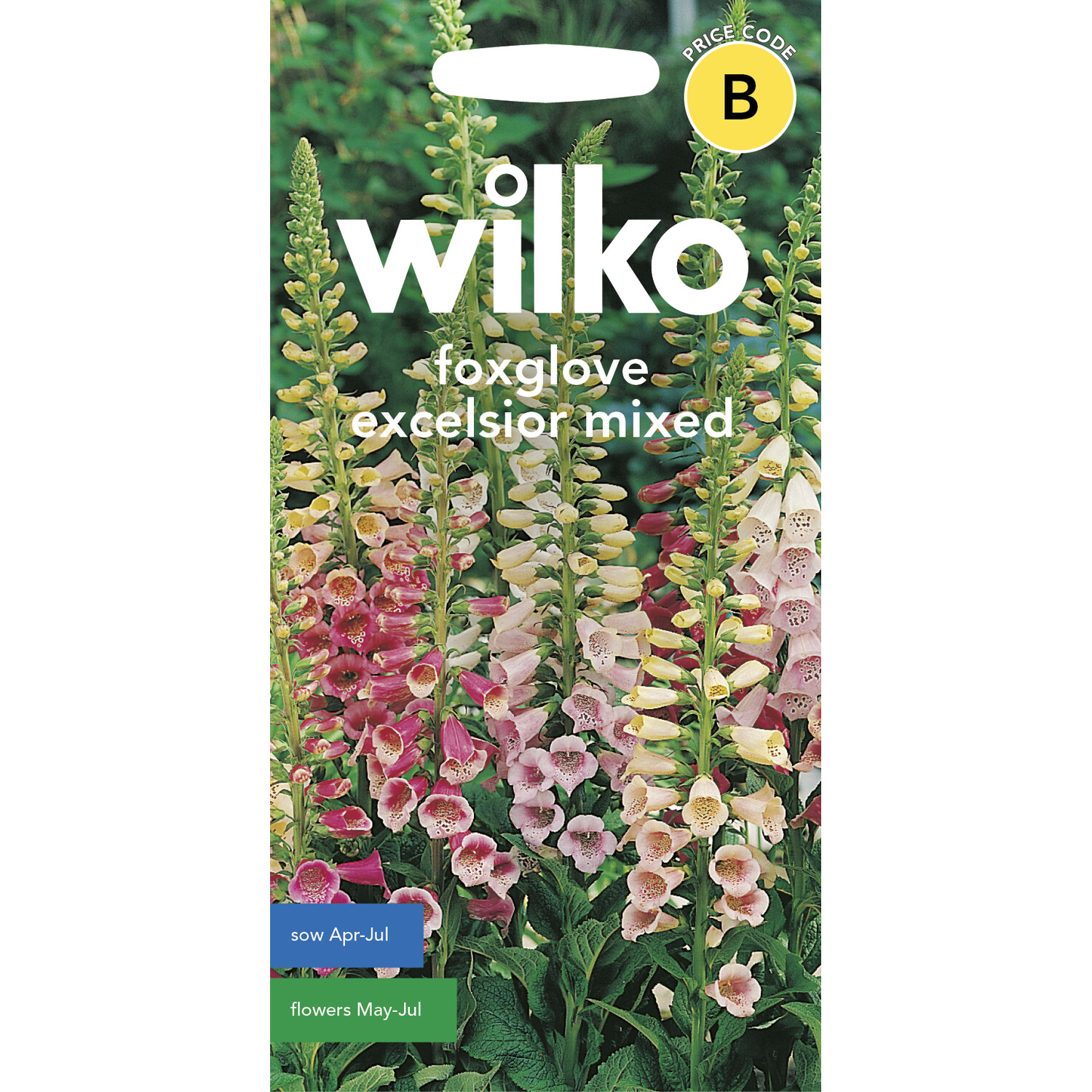 Wilko Foxglove Excelsior Mixed Flower Seeds Image 2