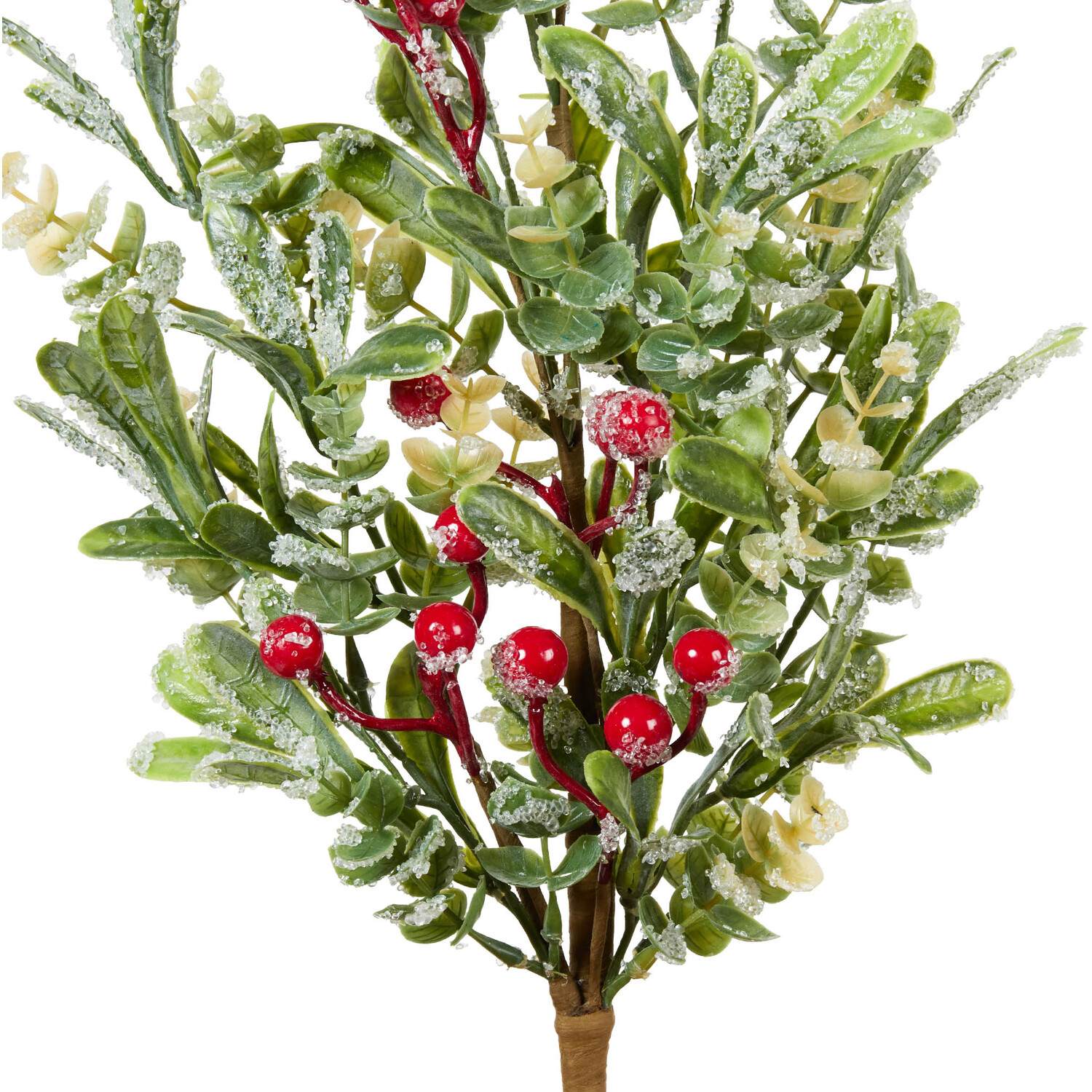 Iced Mistletoe and Red Berry Pick - Green Image 2
