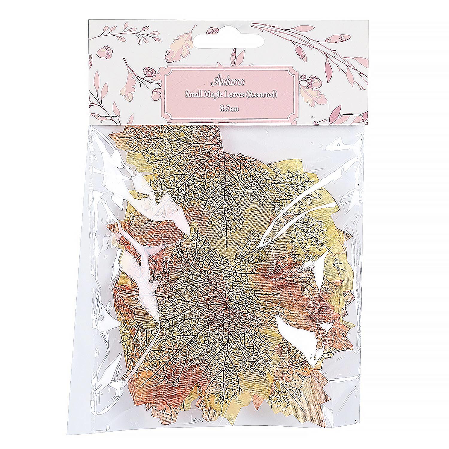 Pack of 30 Small Maple Leaves Image 2