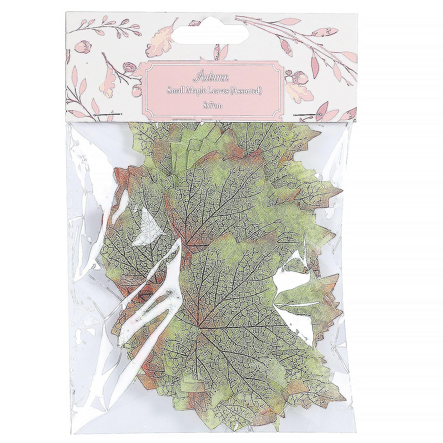 Pack of 30 Small Maple Leaves Image 3