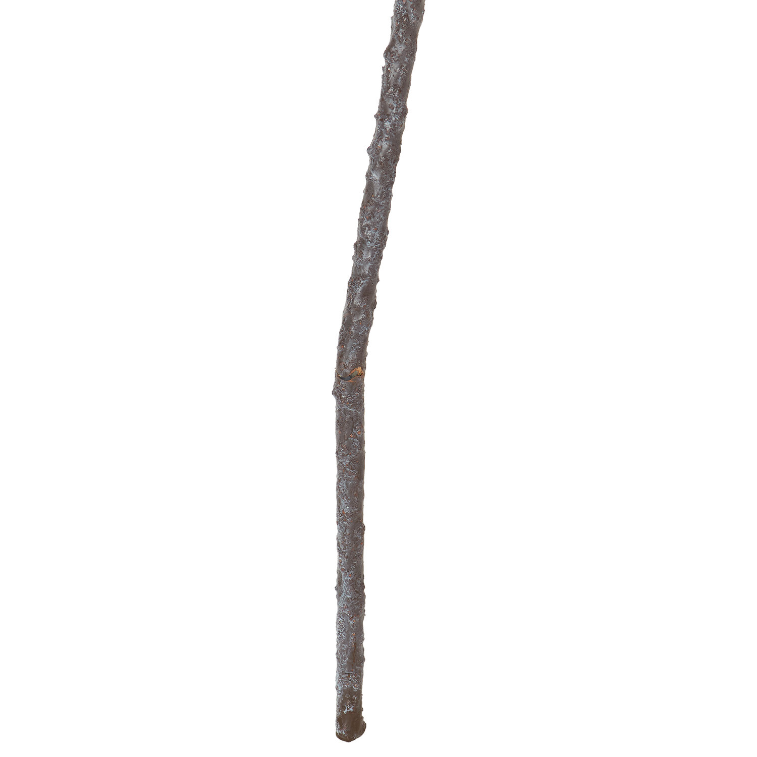 Bamboo Branch Image 8