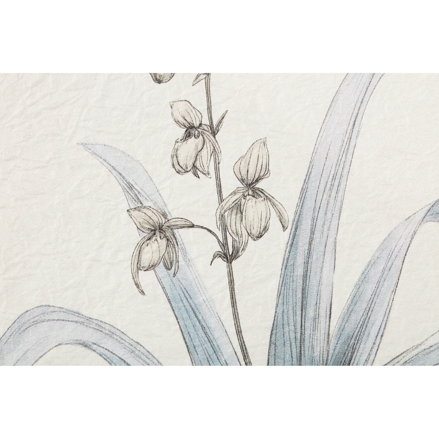 Flower Hand Sketch Effect Framed Art Image 7