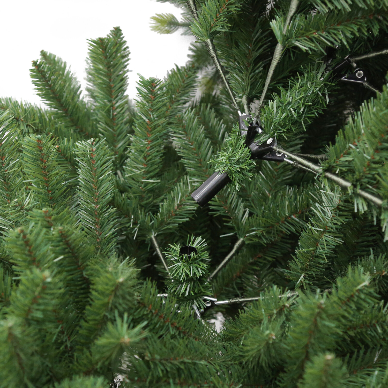 Hampton Fir Tree Green Image 4