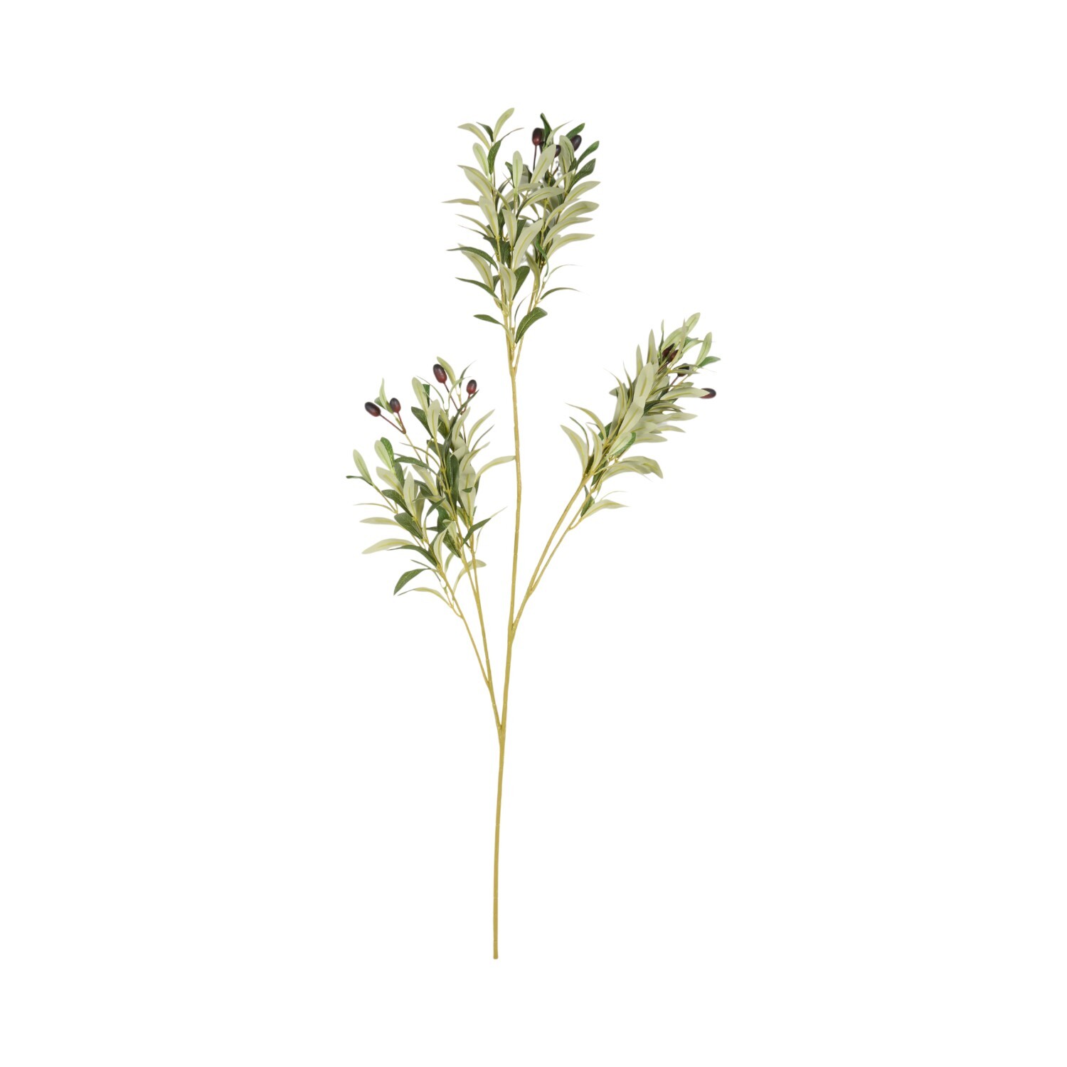 Faux Olive BranchGreen Image 2
