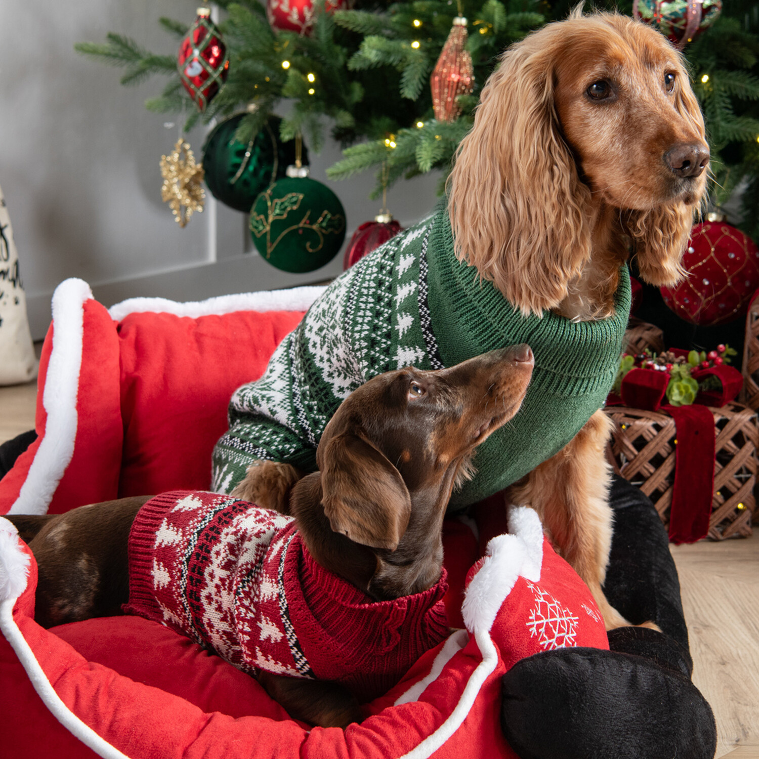 Fair Isle Dog Jumper XS Image 2