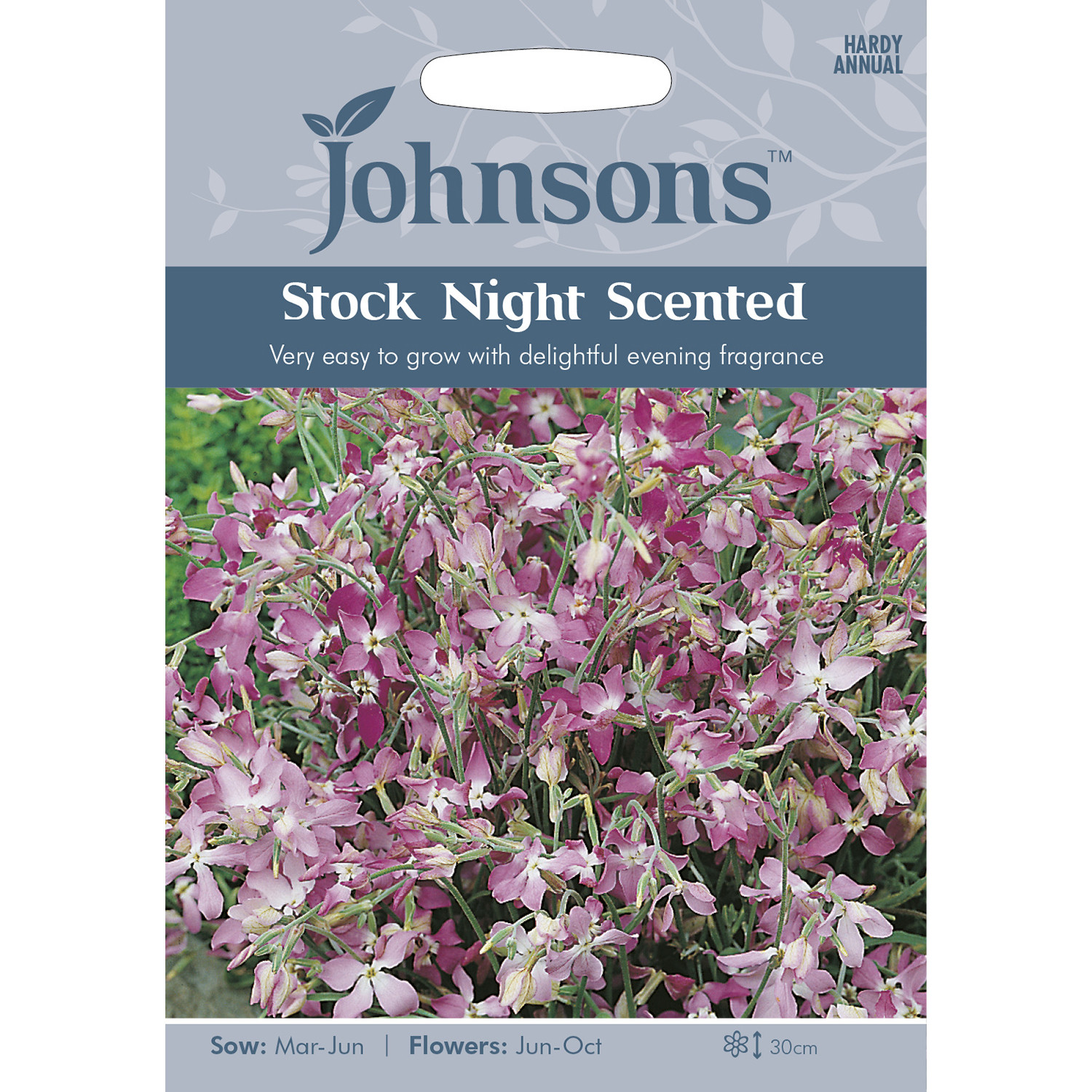 Johnsons Pack of Night Scented Stock Flower Seeds Image 1