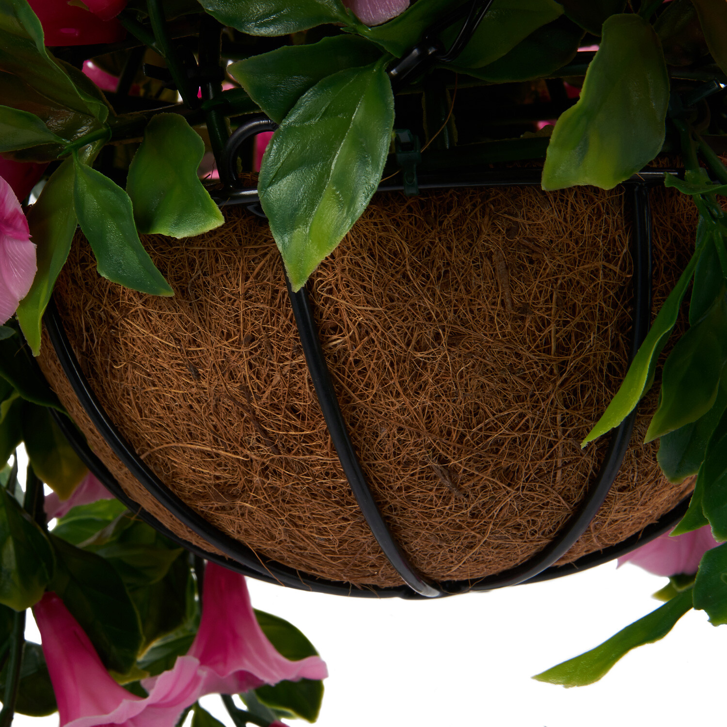 Petunias Hanging Basket - Pink Image 4