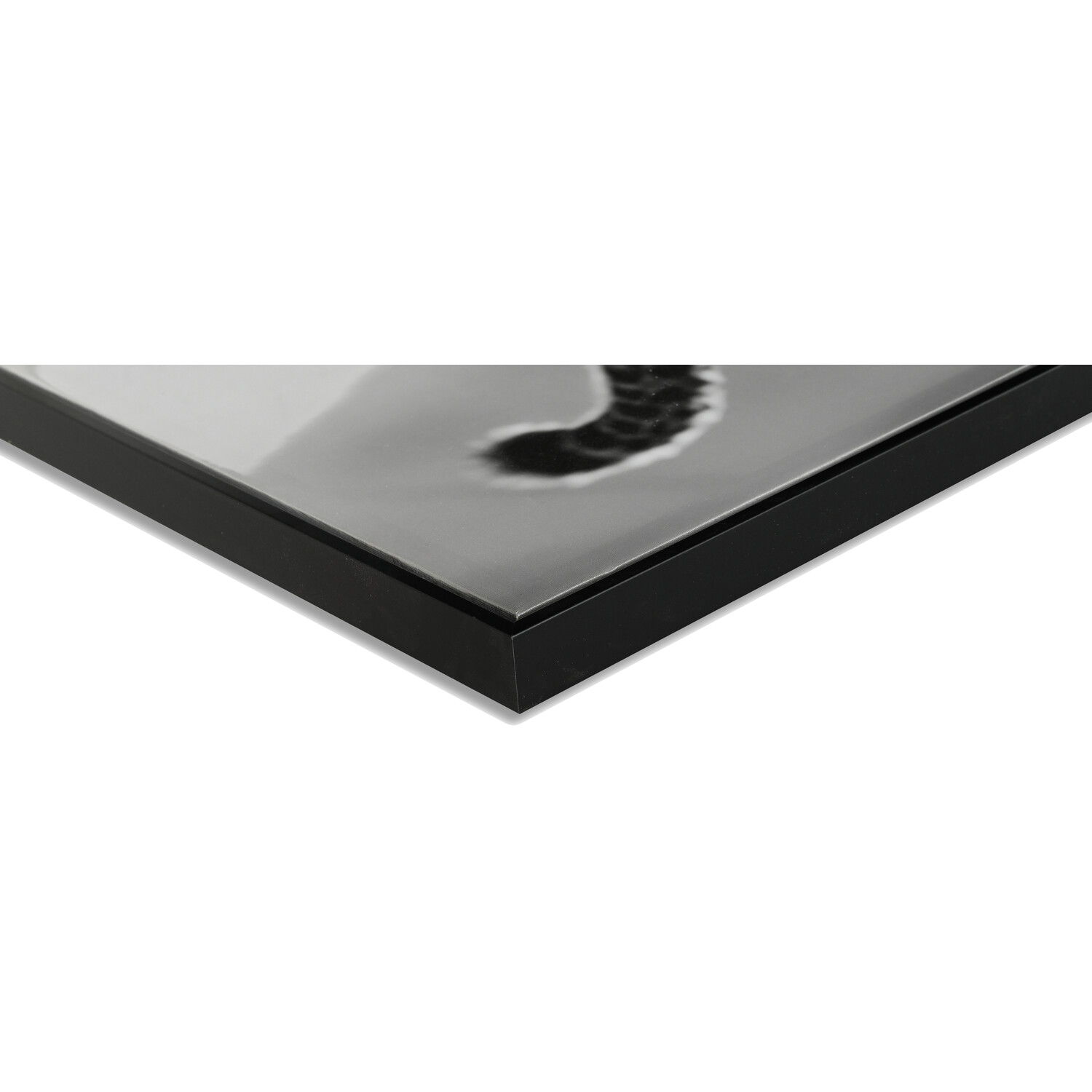 Monochrome Cheetah Framed Print - Black Image 3