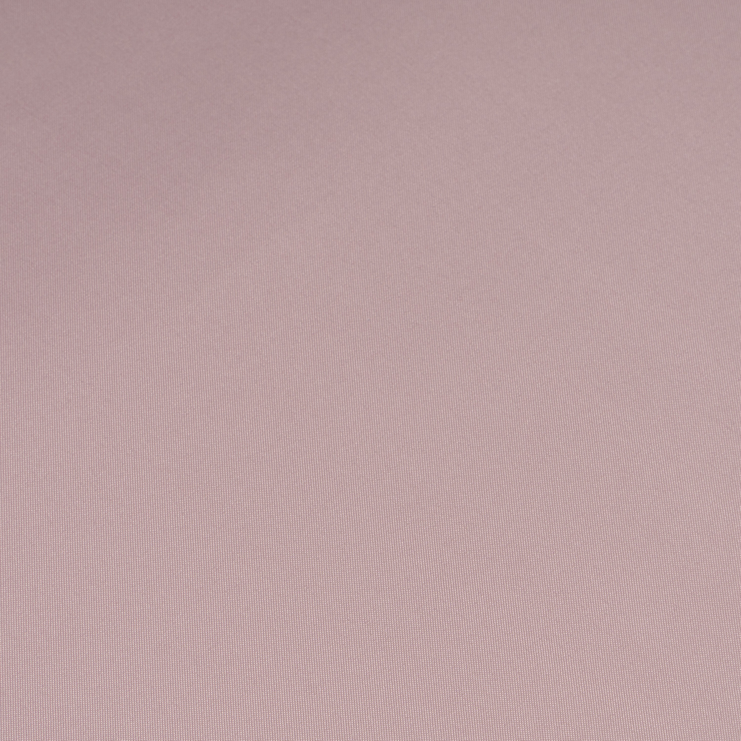 Plain Blackout Roller Blind Blush 120cm Image 3