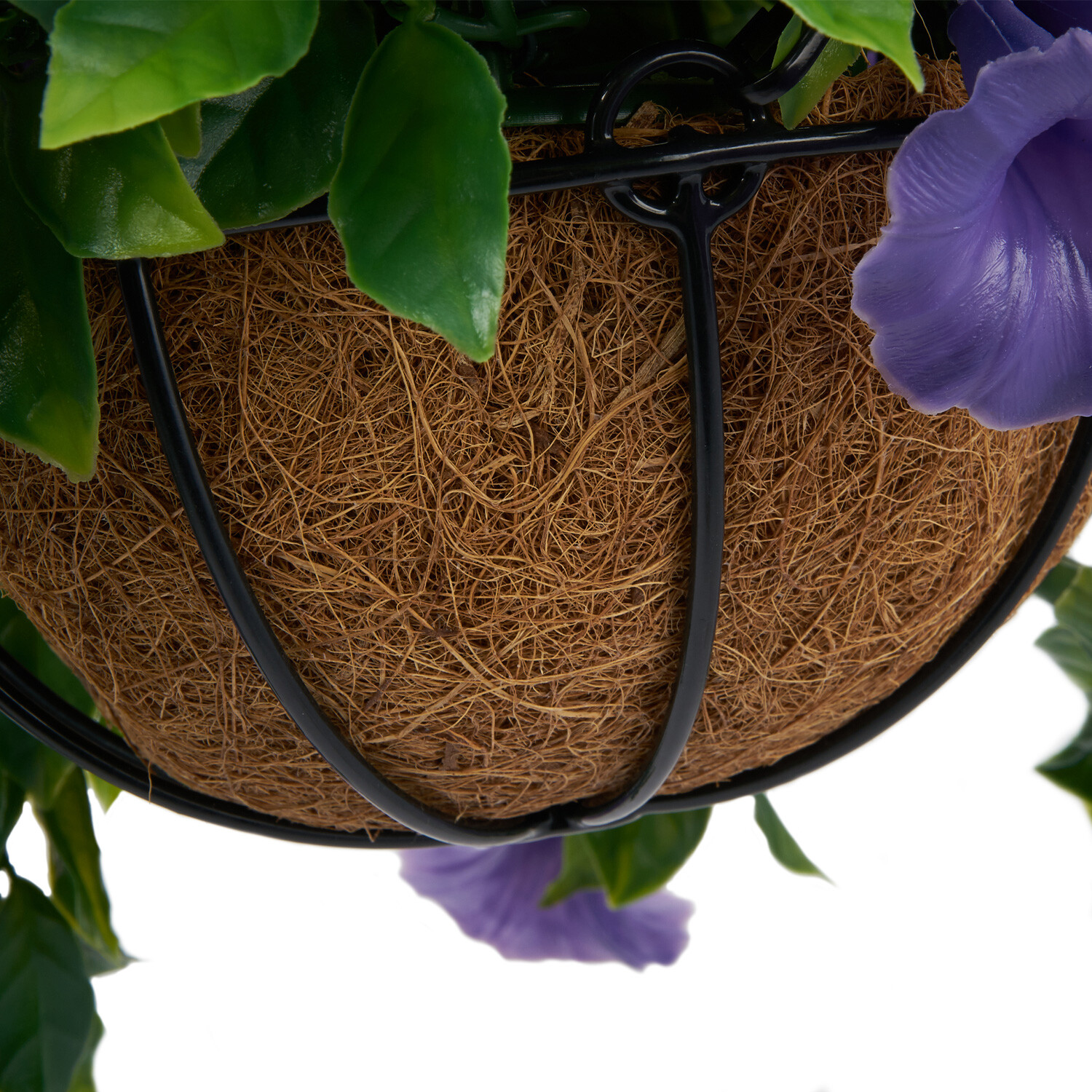 Petunias Hanging Basket - Purple Image 4