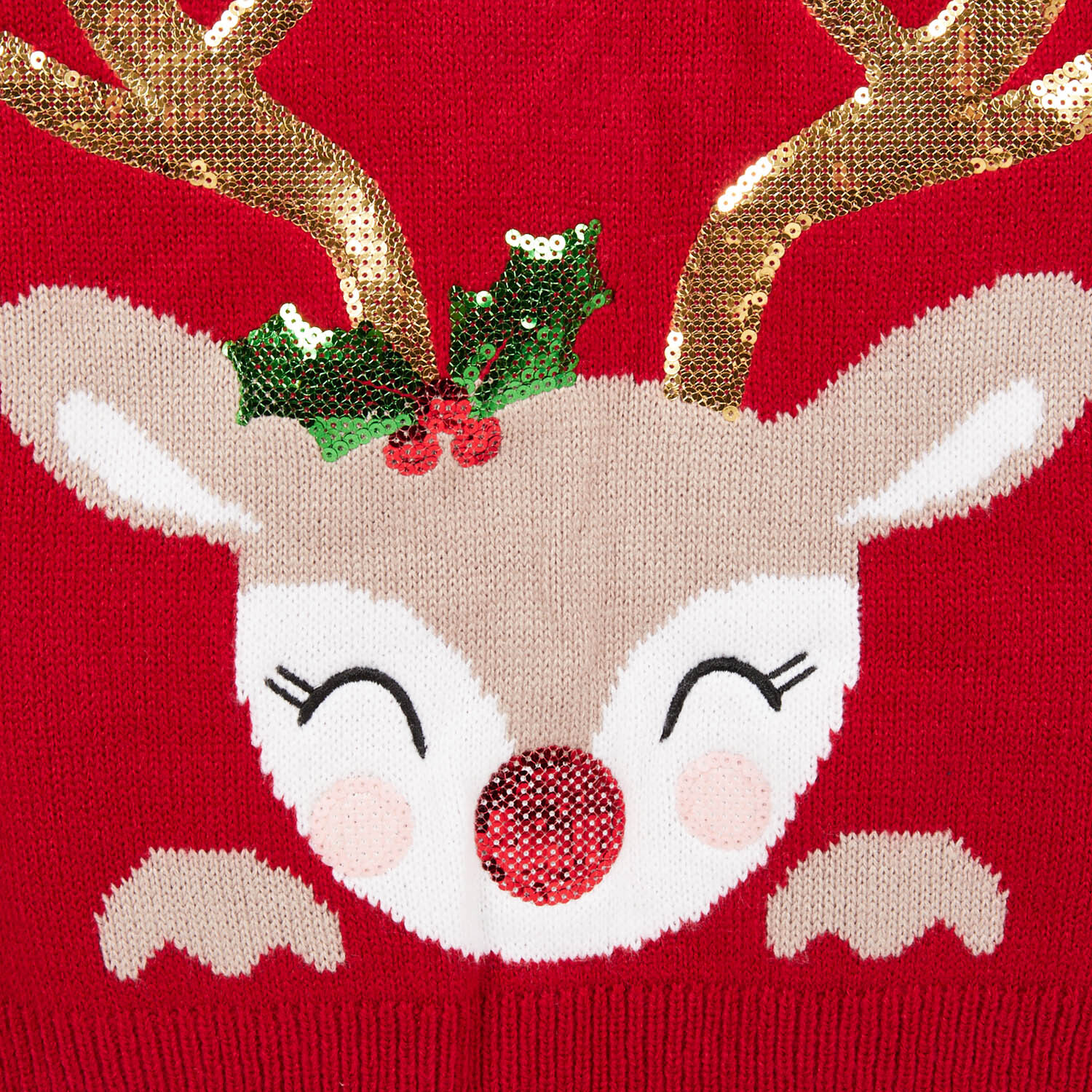 Kids Festive Reindeer Jumper - Red / 10 to 12 years Image 3