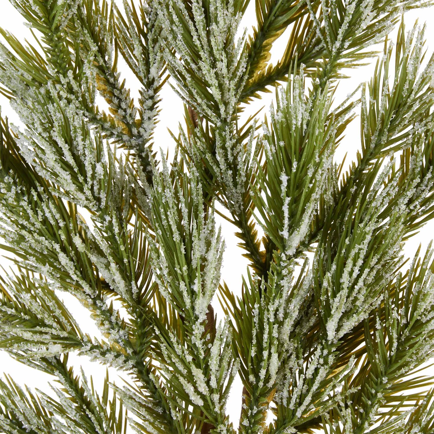 Iced Pine Pick - Green Image 2