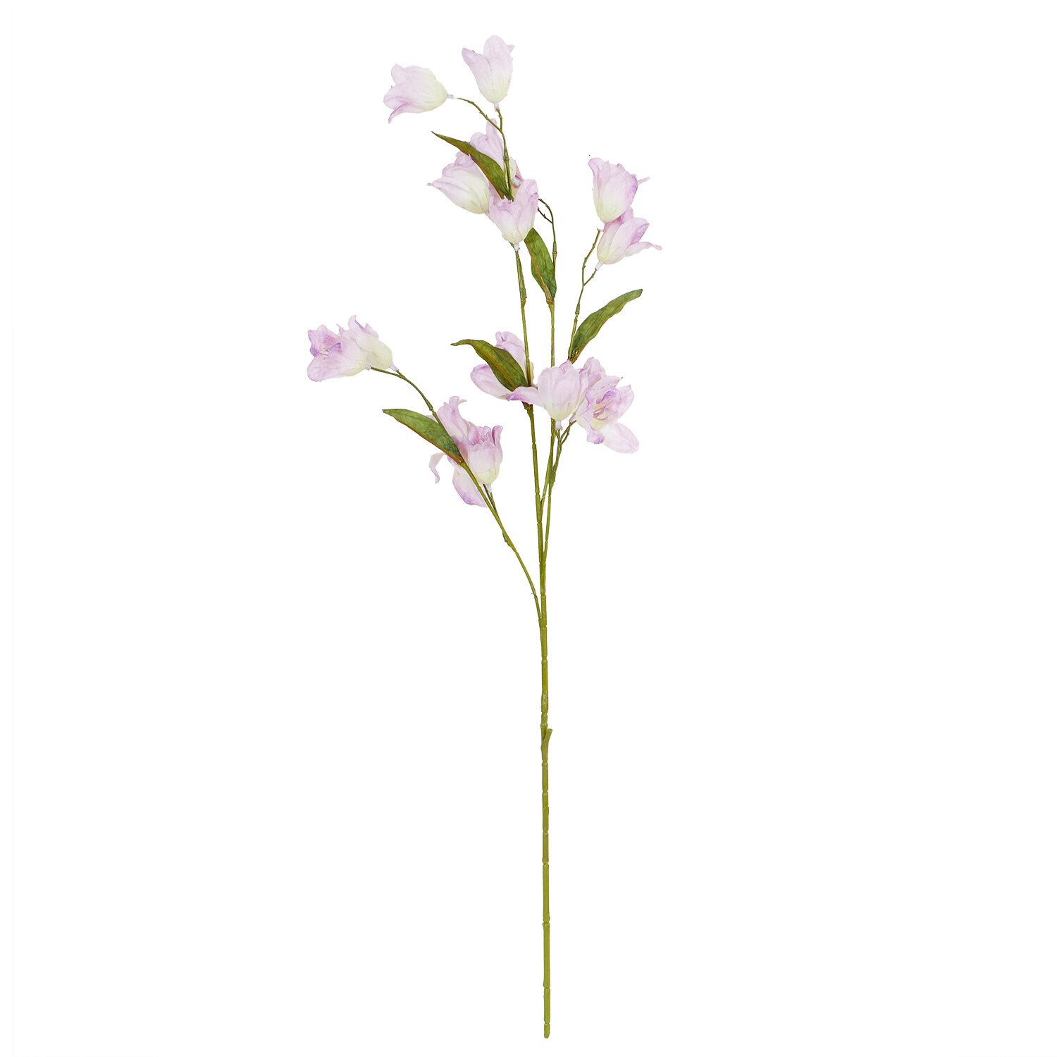 Sweet Pea 78cm  - Multicolour Image 4