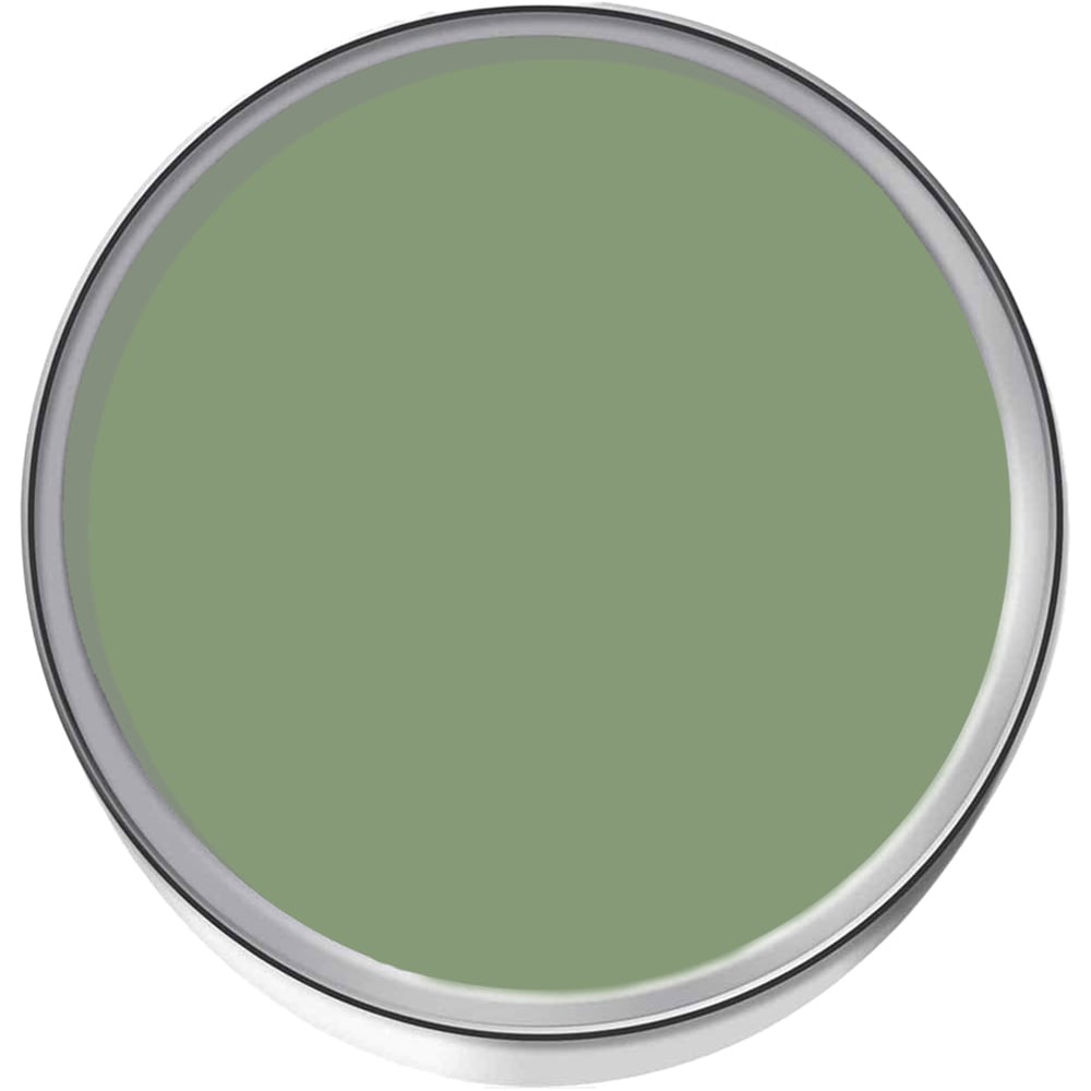 Thorndown Walls and Ceilings Reed Green Matt Paint 750ml Image 3