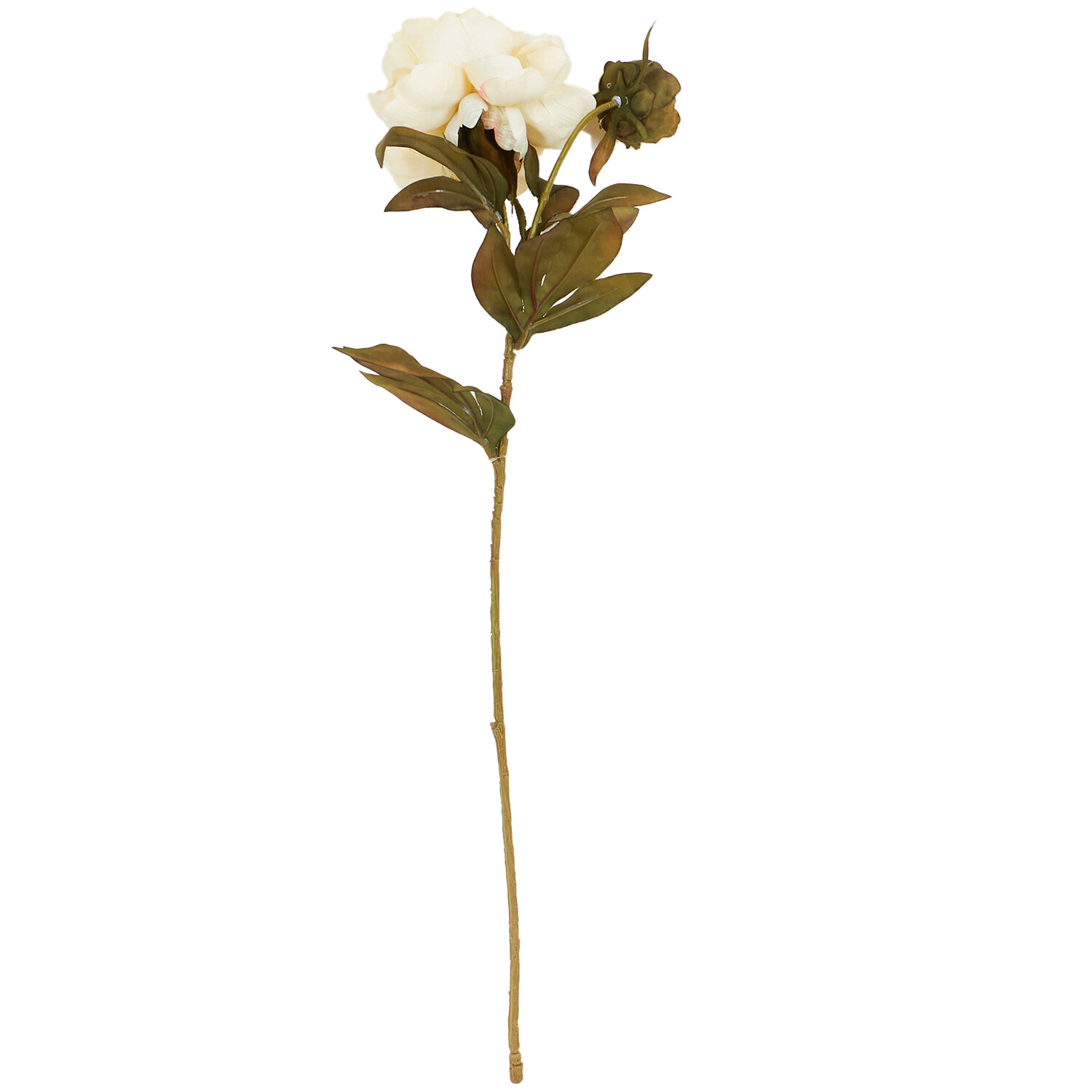 Open Peony - White or Pink Image 2