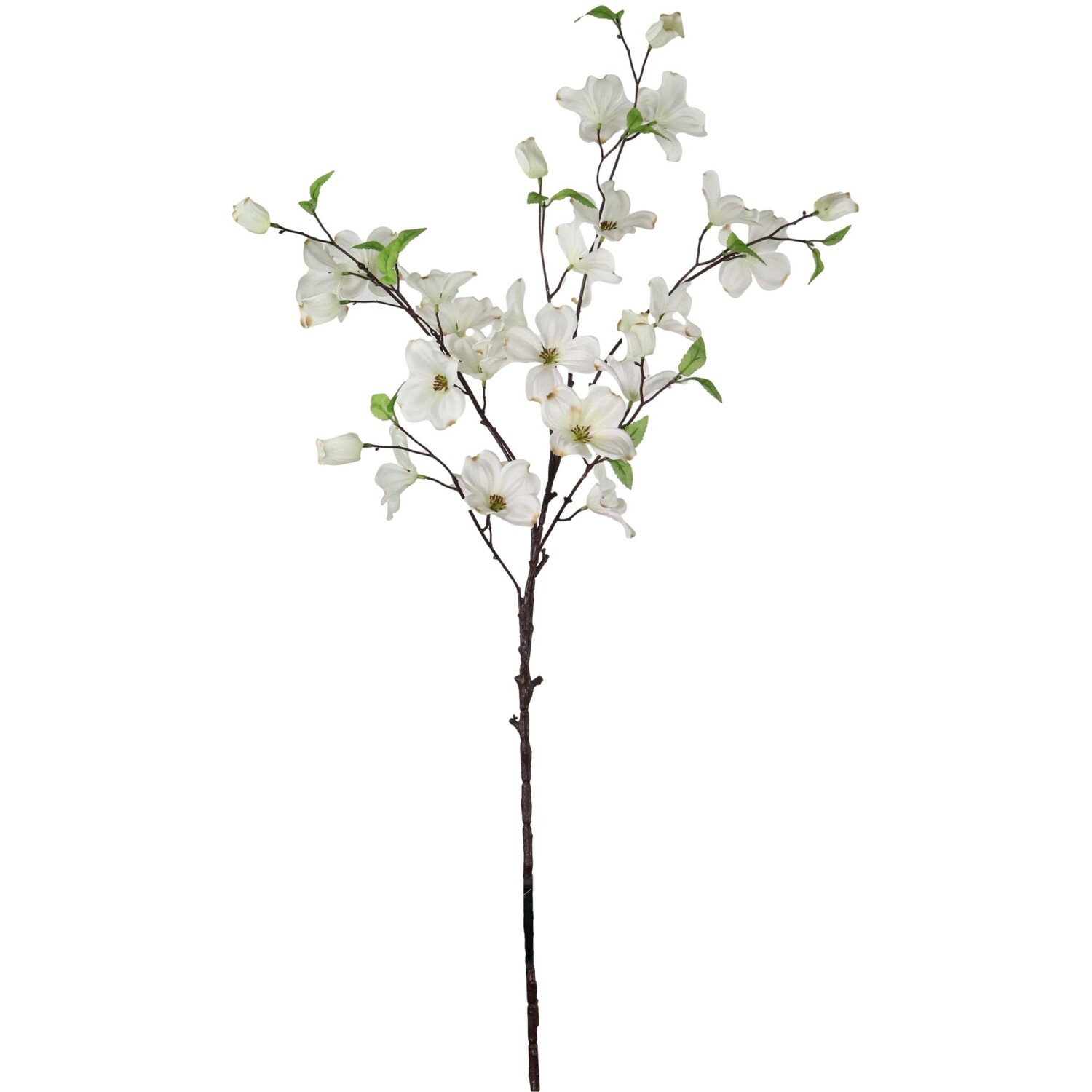 White Dogwood Branch Image