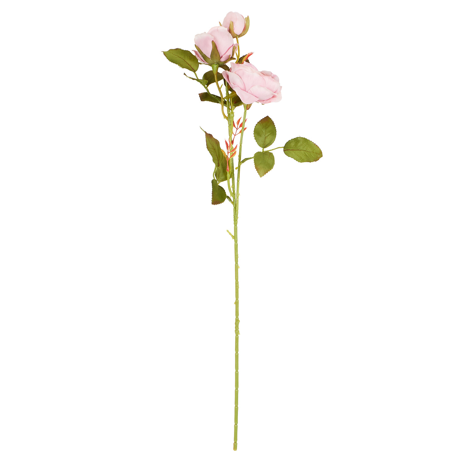 Alora Rose Stem  - Multicolour Image 2