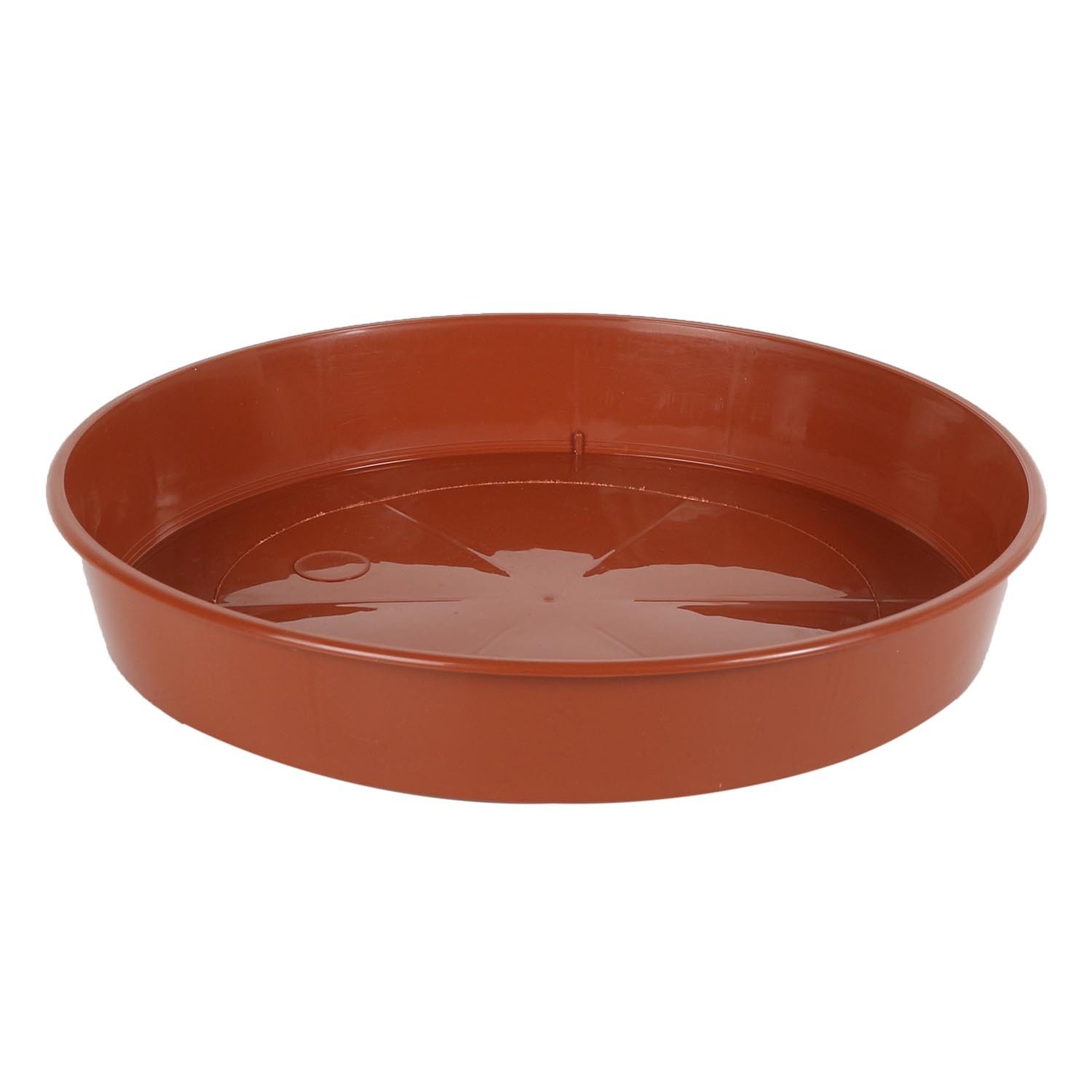 24cm Grow Saucer Image 3