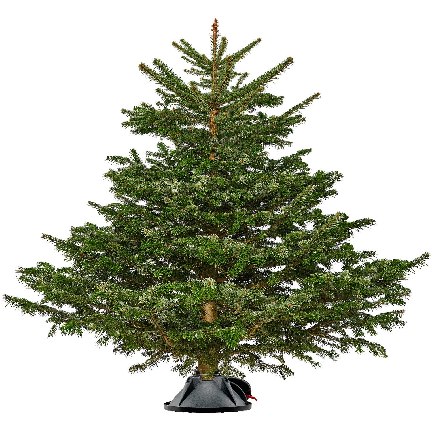 Klick-Fix Christmas Tree Stand Image 3