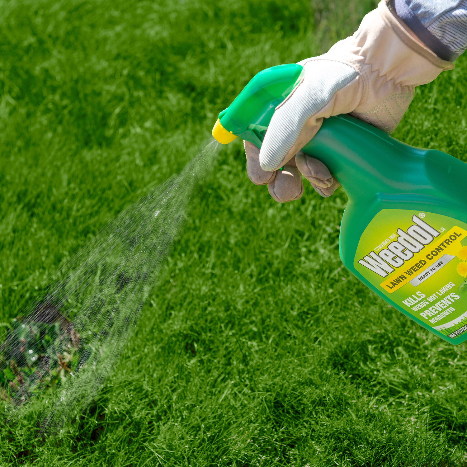 Lawn Weed Killer 1L - Green Image 3