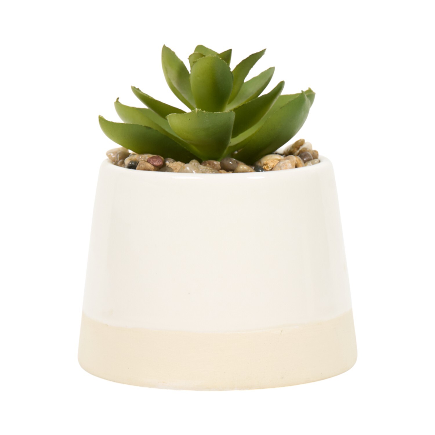 Mini Succulent Pot Image 4