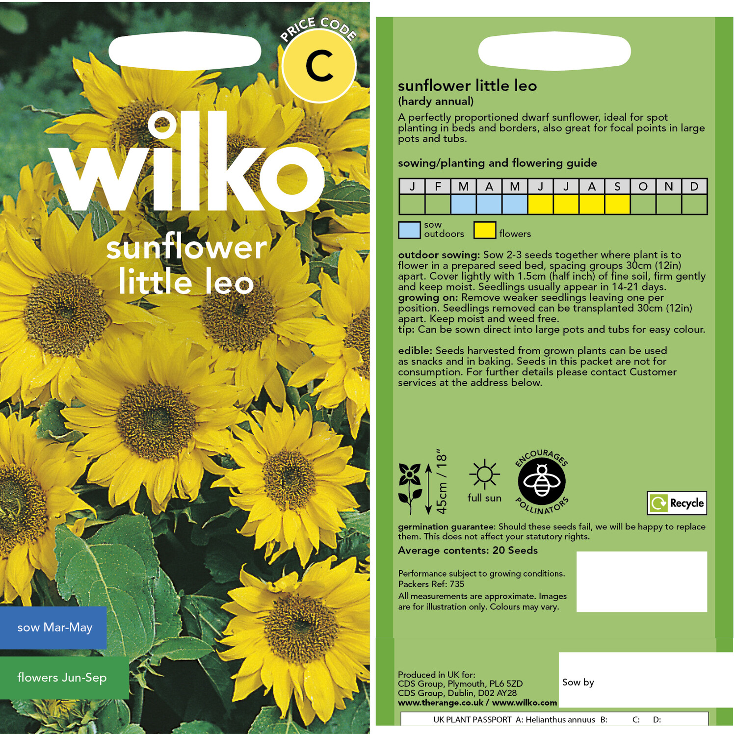 Wilko Sunflower Little Leo Flower Seeds Image 3