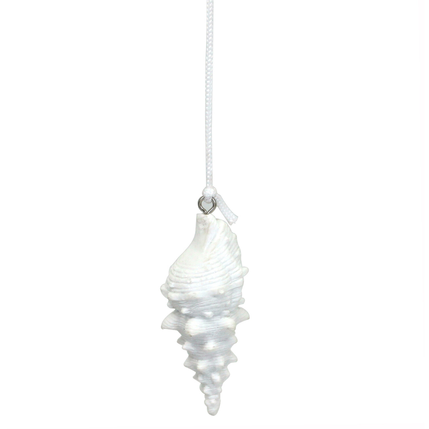 White Seashell Light Pull White Image