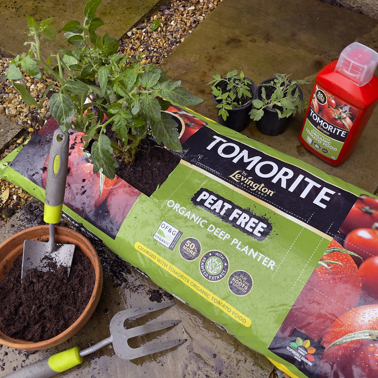 Levington Tomorite Peat Free Organic Deep Planter Image 3