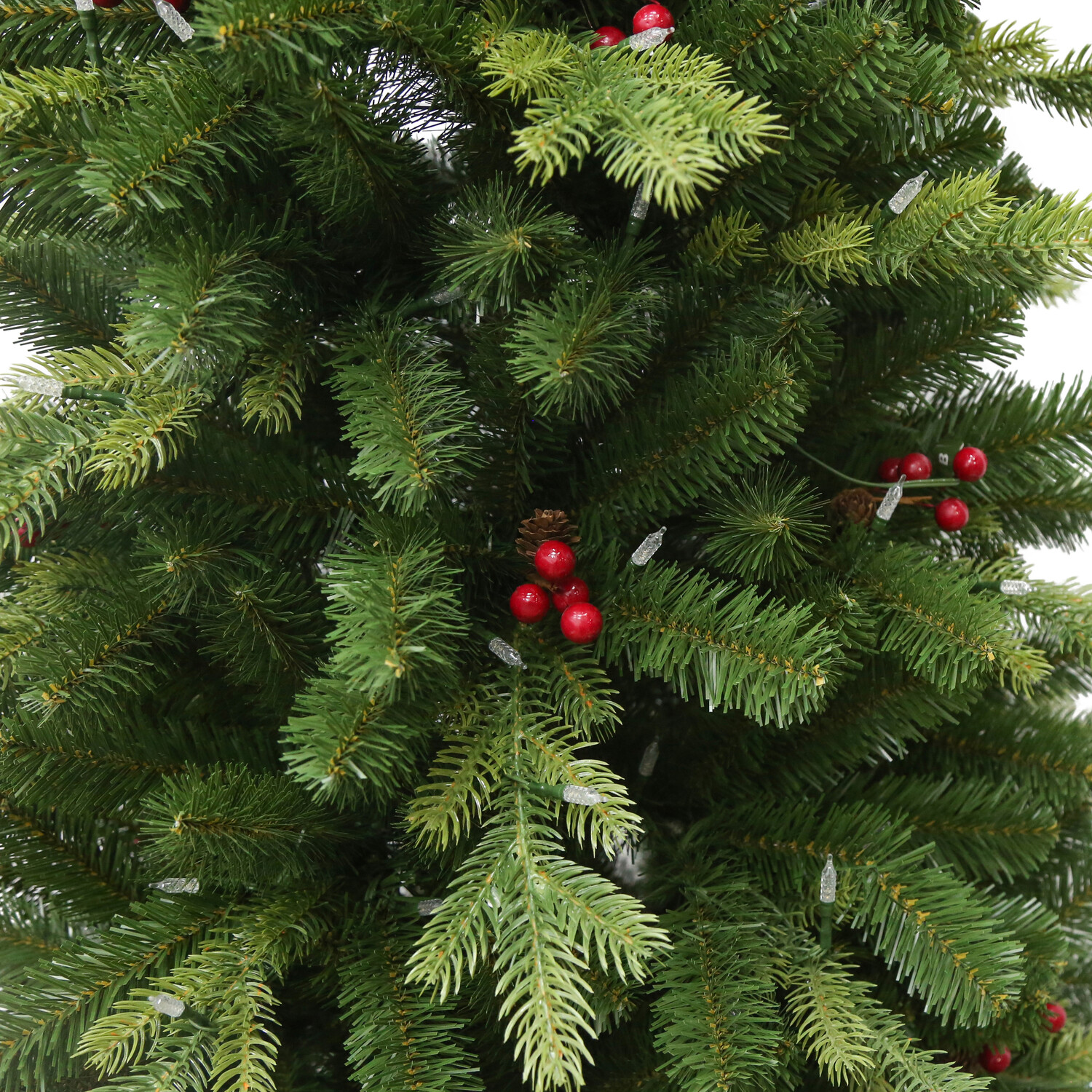 Montgomery Fir Tree Green Image 6