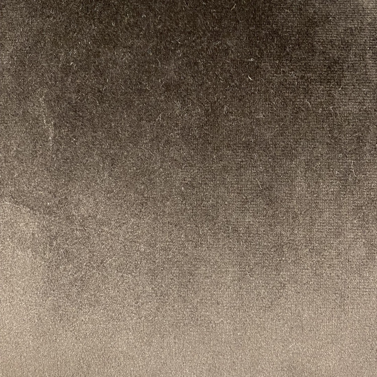 Library Cushion Multicolour Image 4