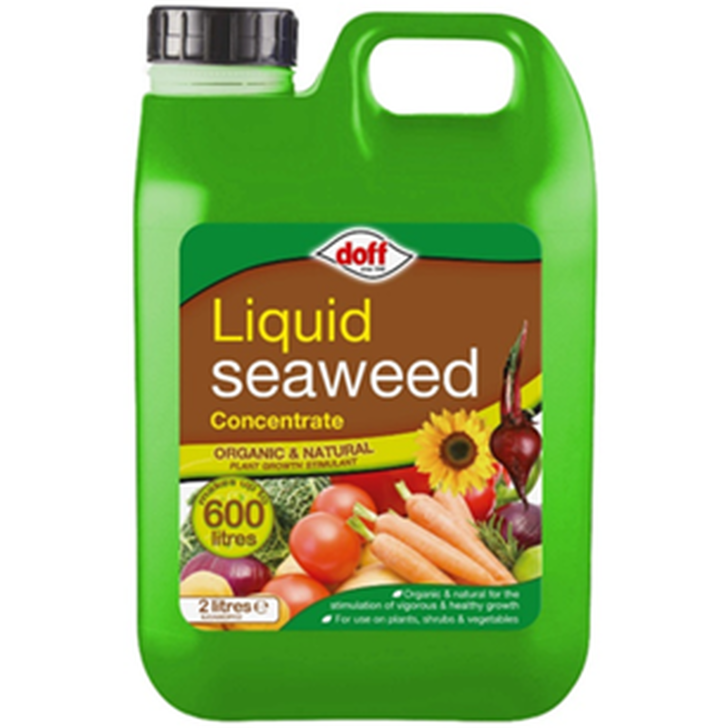 Liquid Seaweed Big Value Jerry Can Image