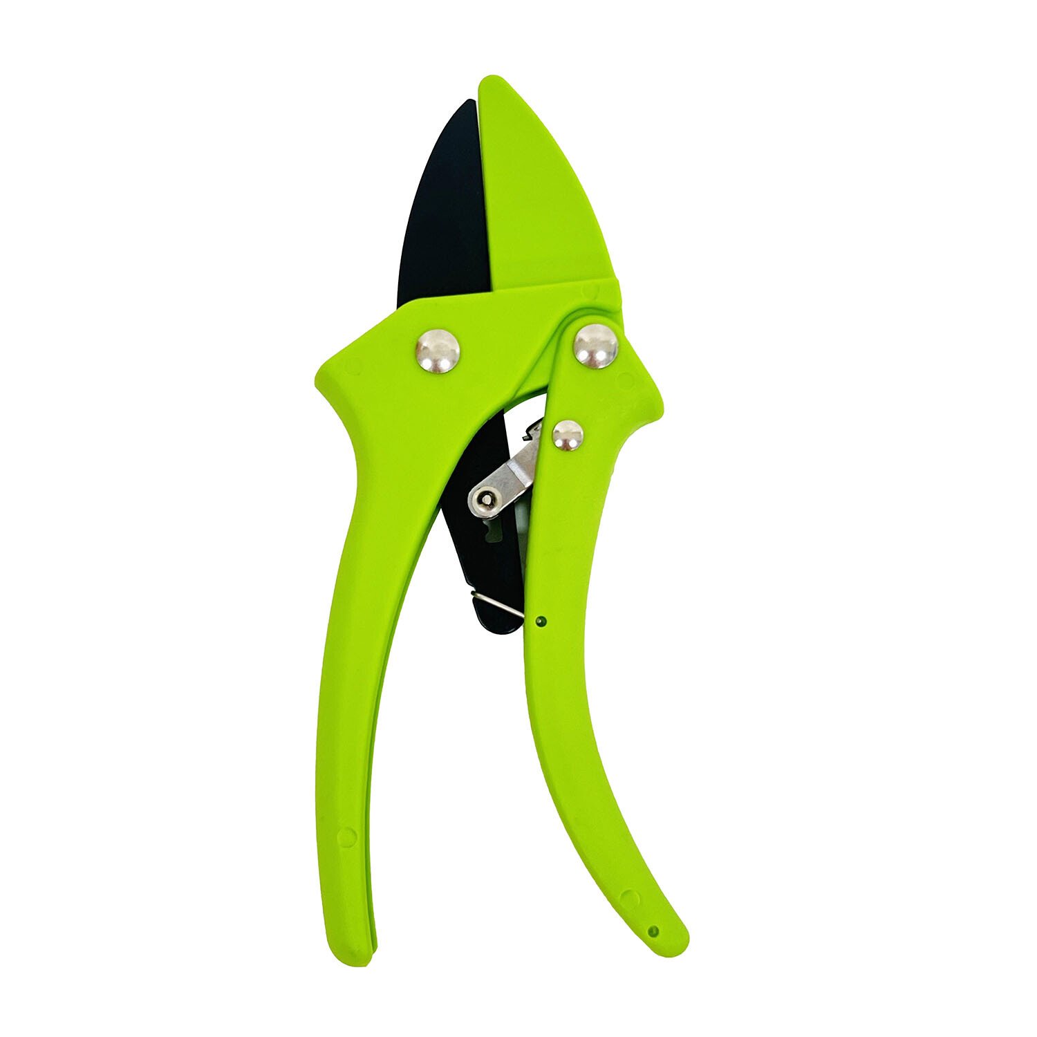 Ratchet Secateurs - Green and Black Image