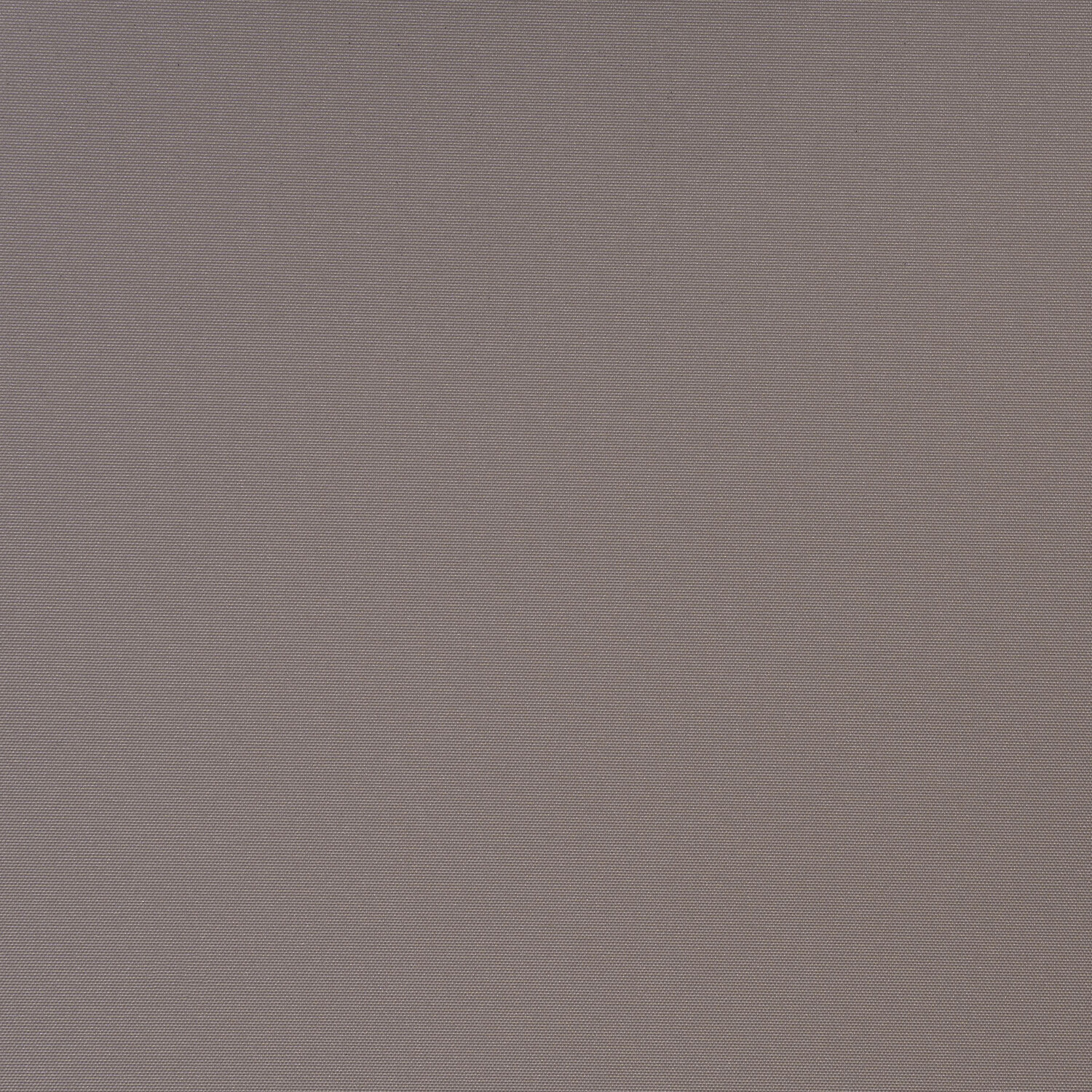 Plain Blackout Blinds - Mocha / 60cm Image 4