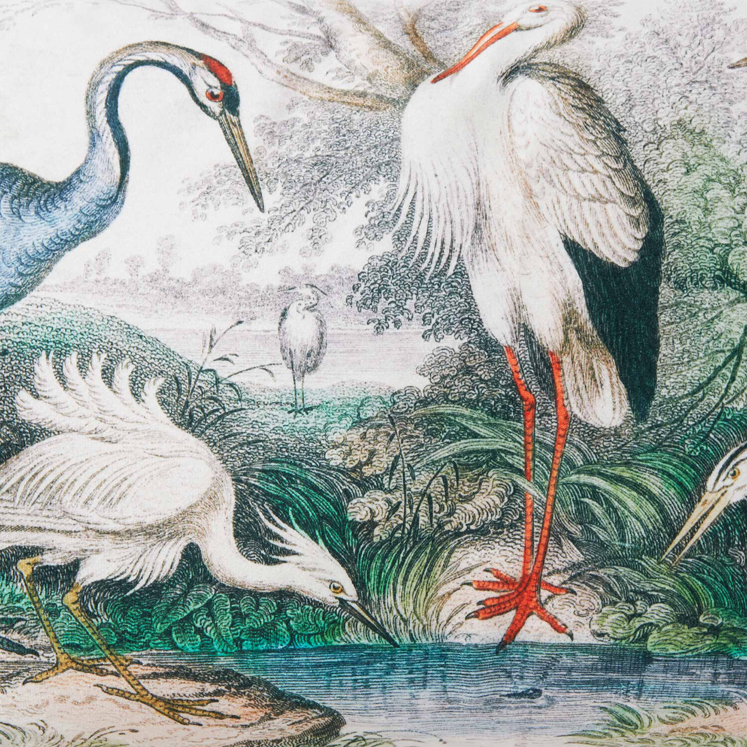 Oriental Birds Cushion - Multicolour Image 2