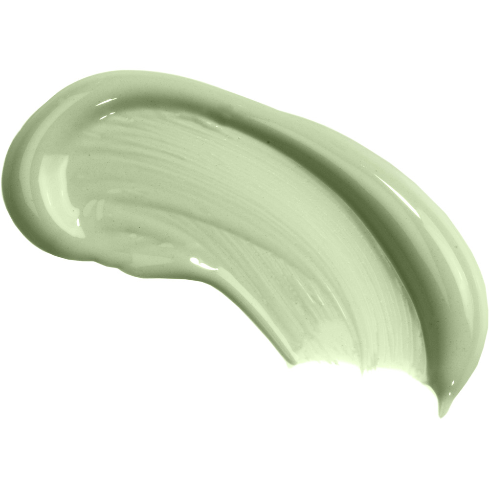 Thorndown Walls and Ceilings Parlyte Green Matt Paint 2.5L Image 4