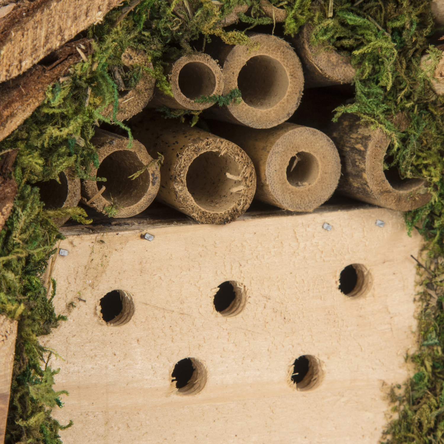 Wooden Insect and Bee Hotel Image 3