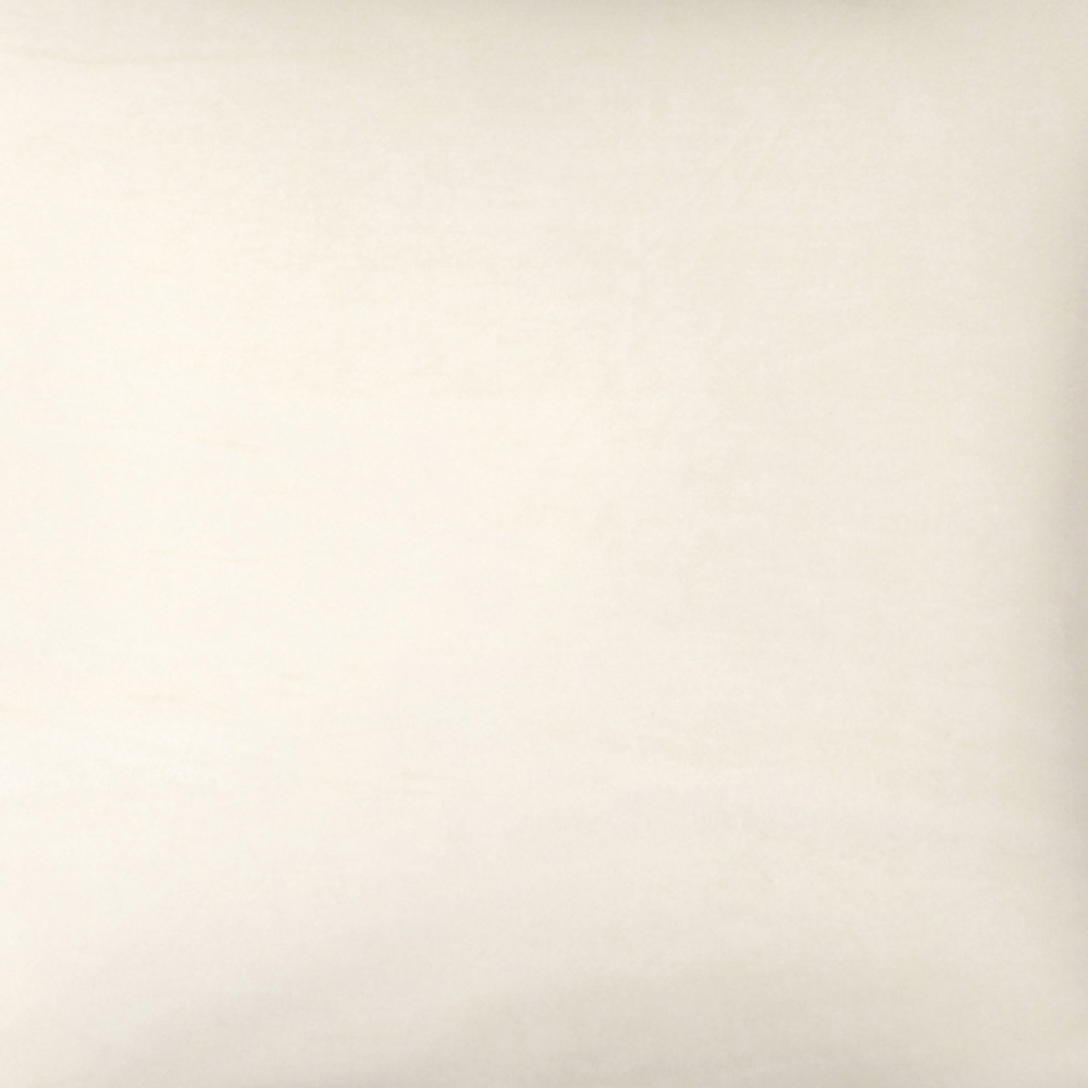 Intimates Grace Velvet Cream Filled Cushion 43 x 43cm 2 Pack Image 2