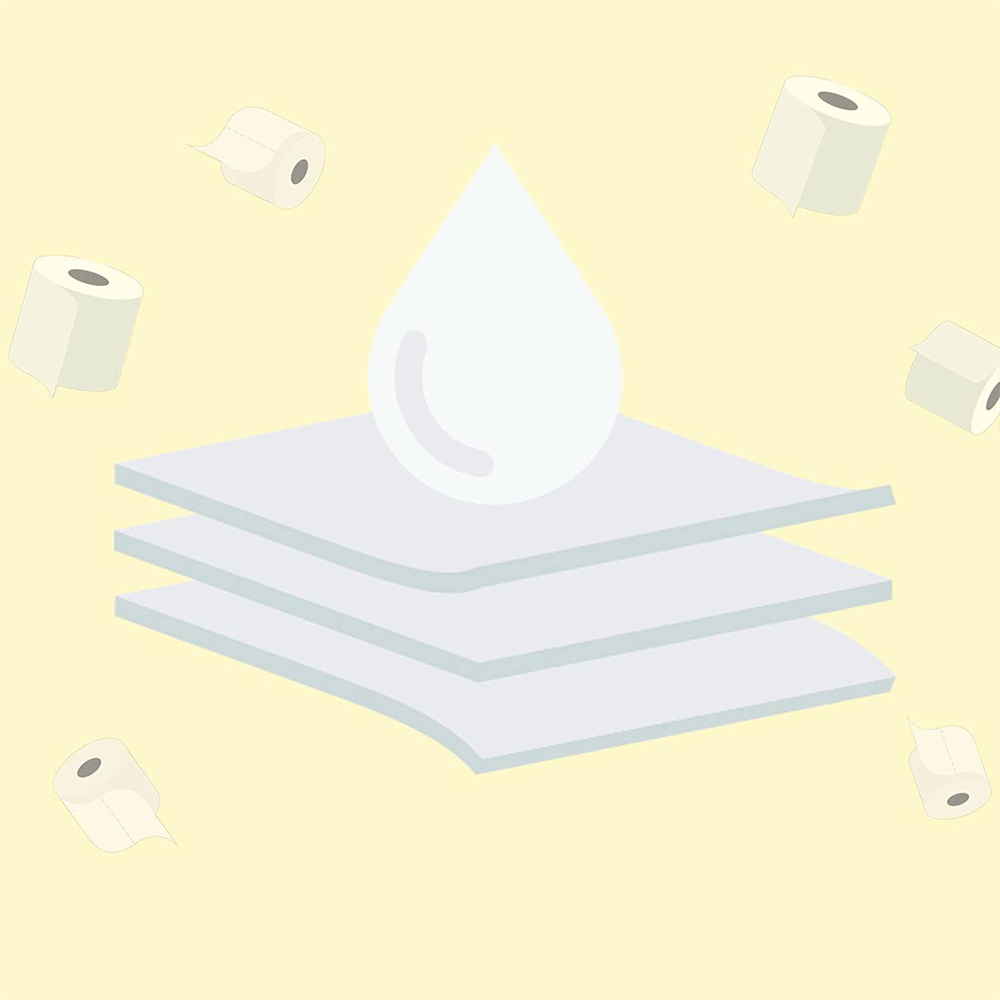 Splesh Quilted Luxury White Soft Toilet Tissue 24 Rolls 3 Ply Image 3