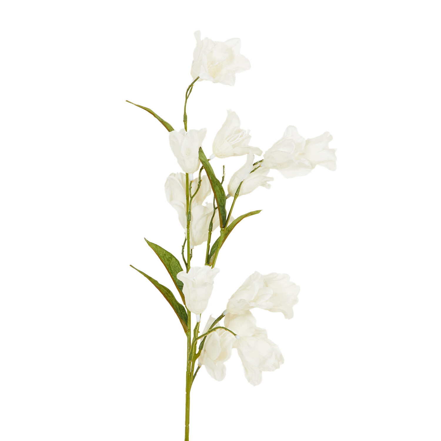 Sweet Pea 78cm  - Multicolour Image 3