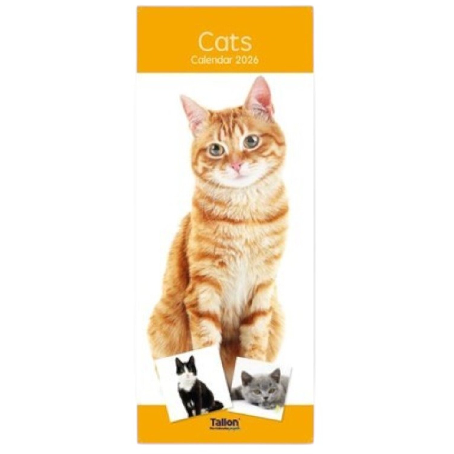 2026 Kittens or Puppies Slim Calendar Image 2