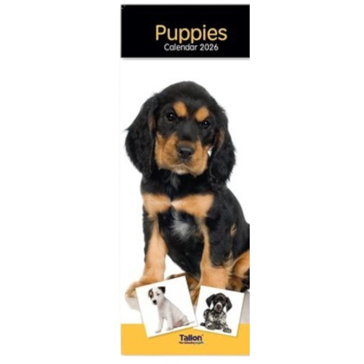 2026 Kittens or Puppies Slim Calendar Image 5