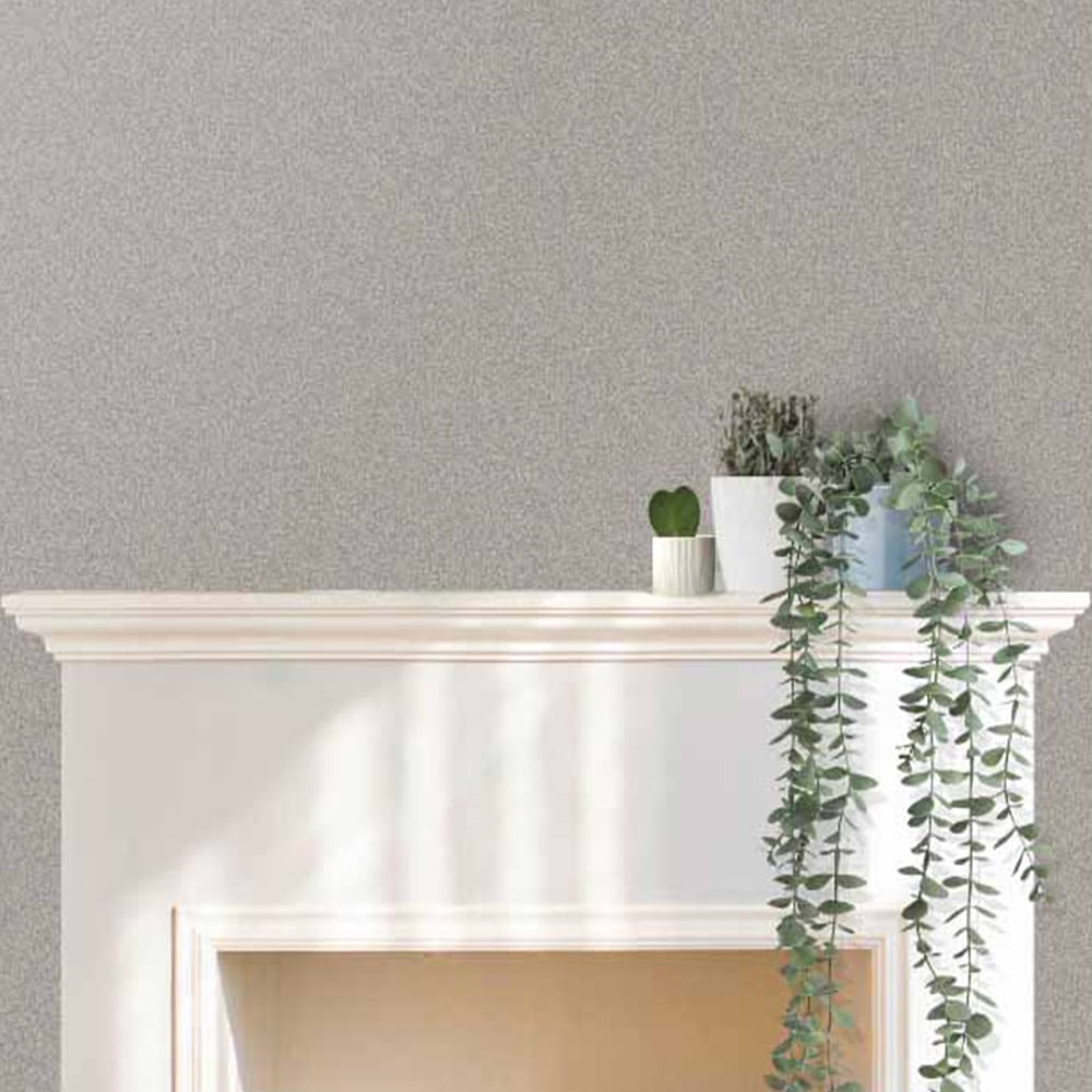 Wilko Statement Walls Silver Lustre Metallic Emulsion Paint 1.25L Image 5