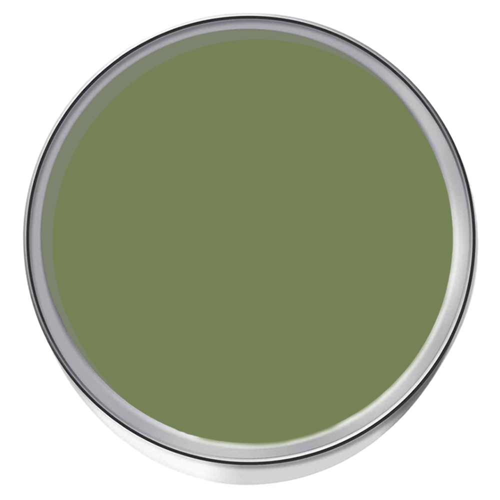 Farrow & Ball Sap Green Estate Eggshell Paint 5L Image 3