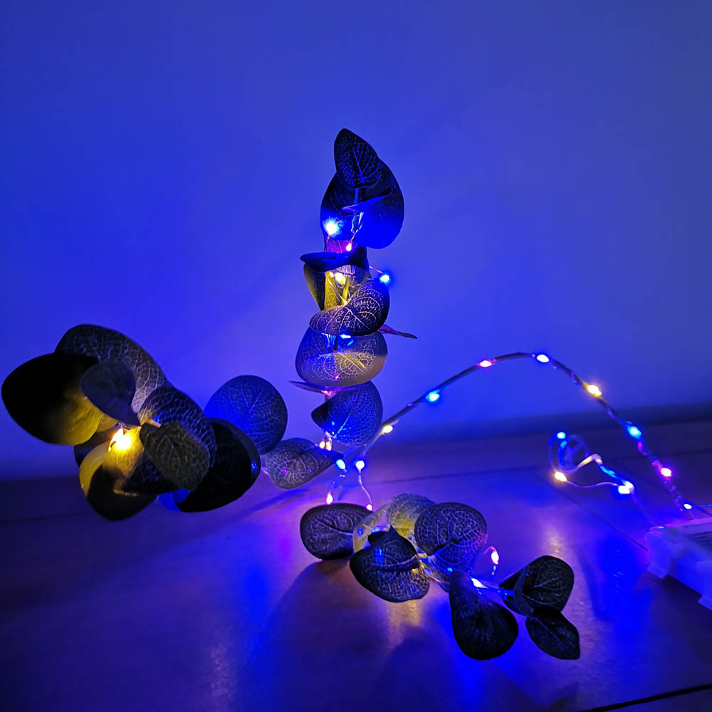 Samuel Alexander 50 Rainbow MicroBrights LED Premier Battery Operated String Light 2.5m Image 3